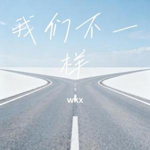 我们不一样 (Remix)