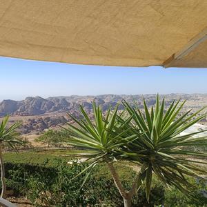 Çek senet sepet çek