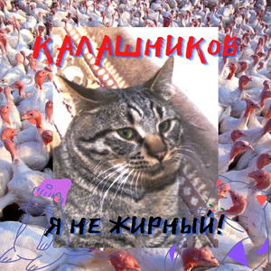 Я не жирный!