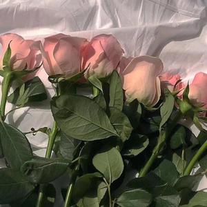 ᵀʰᵉ ʷᵒʳˡᵈ ˢ ᵈᵘˡˡ ᵇᵘᵗ ⁱᵗ ʰᵃˢ ʸᵒᵘ