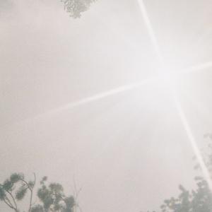 souls_08-19-25_02'42"