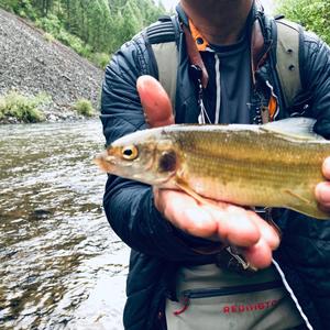 Rockcreek