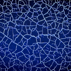 約束 (feat. Jasmine R)