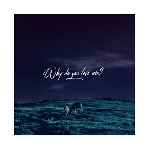 Why Do You Love Me