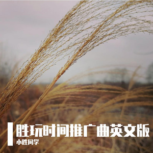 WinPlay Time (English Male Version) 伴奏