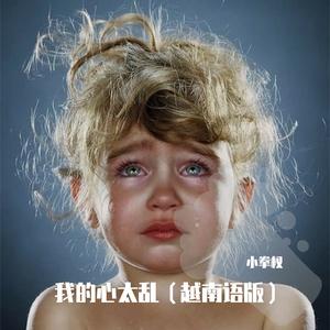 我的心太乱 - 越南语