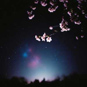 Bom (Spring) (Shoegaze ver.)