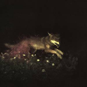 path of needles / path of pins