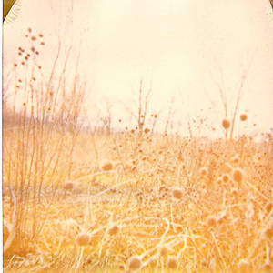 On A Dresser His Eyes Were Mangled The Pink Mesh Of Clementines