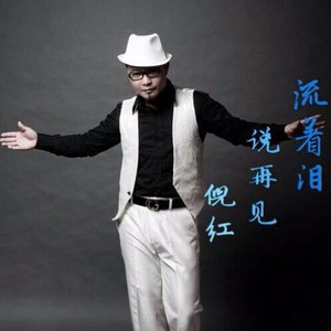 流着泪说再见 (DJ版)