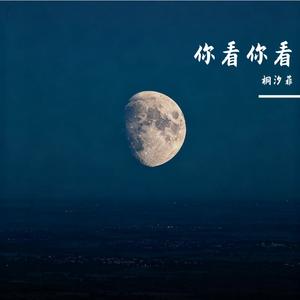 你看你看