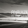 Analyze - In the Wind