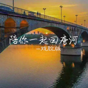 陪你一起回唐河 (戏腔版)