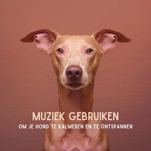 Muziek of huisdieren