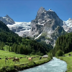 黄梅戏 (这是一段经典的旋律)