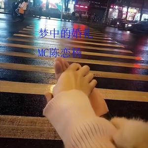 梦中的婚礼 (伴奏)