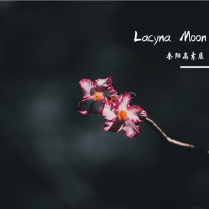 Lacyna Moon（缺口之月）