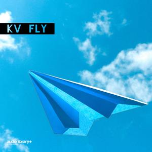 Fly