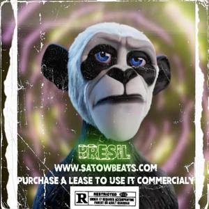 BRESIL (Moombahton Instrumental)