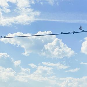 four planes