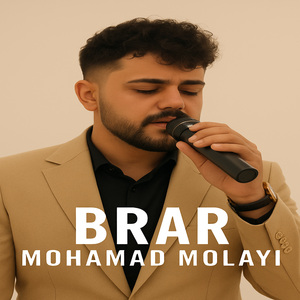 Brar (Remix)