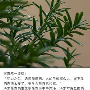 后来