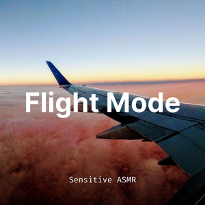 Flight Mode, Pt. 11