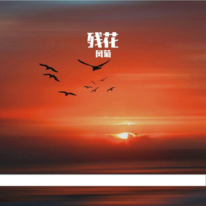 夕阳