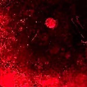 濒临死亡 [Prod.CodyCash]