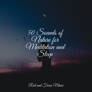 Travelling Through Sand Dunes