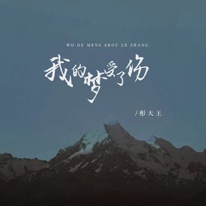 我的梦受了伤