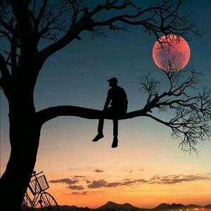 心愿伴奏（吉它版）