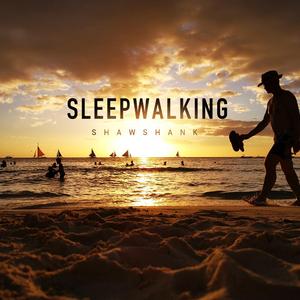 sleepwalking（梦游）