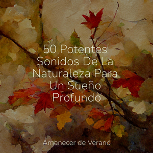 Vals de Armonía a Medianoche