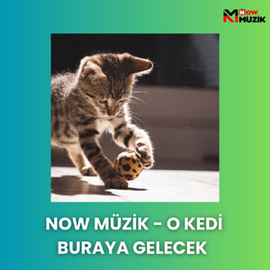 Emrin Olur