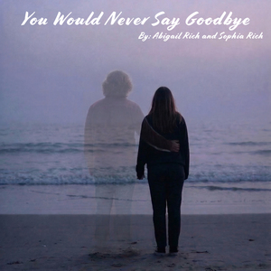 You Would Never Say Goodbye