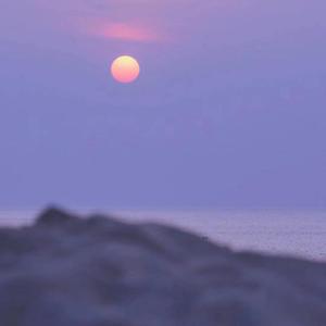 花海（翻自 周杰伦）（翻自 李瑨瑶）