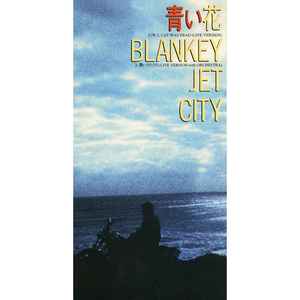 悪いひとたち (Live At NHKホール / 1994)