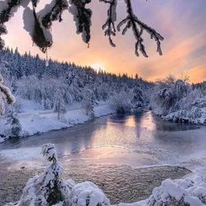 有我  铁若伊 余佳熹 宁雨涵.mp3