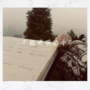 不能讲明的小z