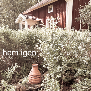 hem igen