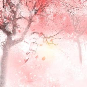 杏花弦外雨（片段）