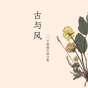 王森森呀 - 长恨风情