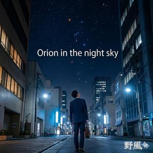 Orion in the night sky