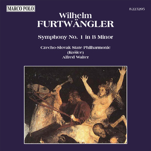 Symphony No. 1 in B Minor:I. Largo