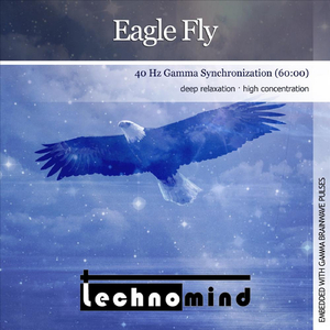 Eagle Fly (40 Hz Gamma Synchronization)