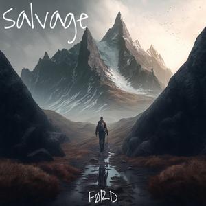 salvage