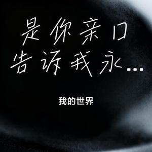 是你亲口告诉我永远都不会再让我伤心的
