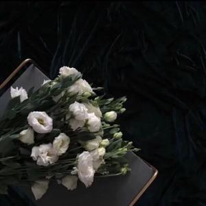 花雨落（翻自 任然）