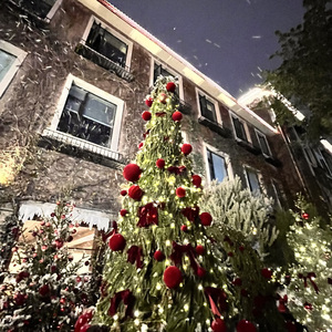 迟钝的痛觉在子夜准时造访竟将往事吹作满室纷扬的纸灰demo